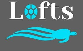 Ingrid Lofts
